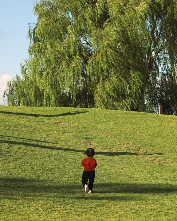 A child running across green grass beneath a willow tree
